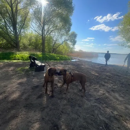 Seebrise Göhren-Lebbin