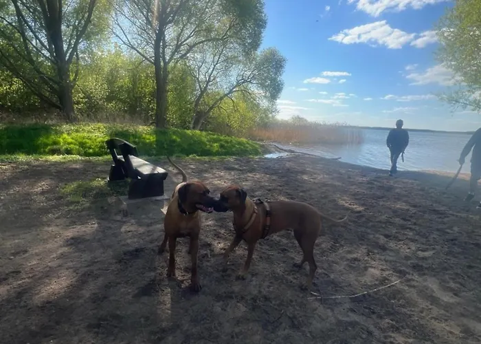 Seebrise Göhren-Lebbin